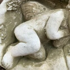 Darthome Limited Stone Cherub In Shell Garden Sculpture -Darthome Limited 135 01910cbe dd79 442d b242 9f332f9dac72