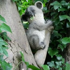 Darthome Limited Grey Koala On Branch Garden Ornament