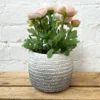 Darthome Limited Cement Two Tone Grey Planter
