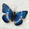 Darthome Limited Blue Metal Butterfly W/ White Markings Wall Art