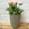 Darthome Limited Cement Tall Diamond Plant Pot 17cm - Green & Gold