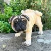 Darthome Limited Beige Resin Pug Dog Ornament