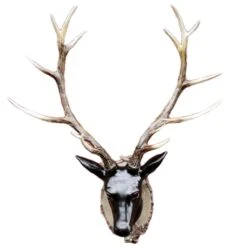 Darthome Limited Extra Large Glossy Black Stags Wall Head -Darthome Limited 1copy 597118cc 47b7 4baa b7b4 a54b3075203a