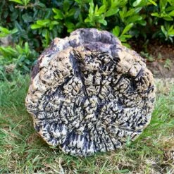 Darthome Limited Cement Tree Log Owl Planter -Darthome Limited 22 558a5067 e7f8 4076 8643 bd6c197d9f79