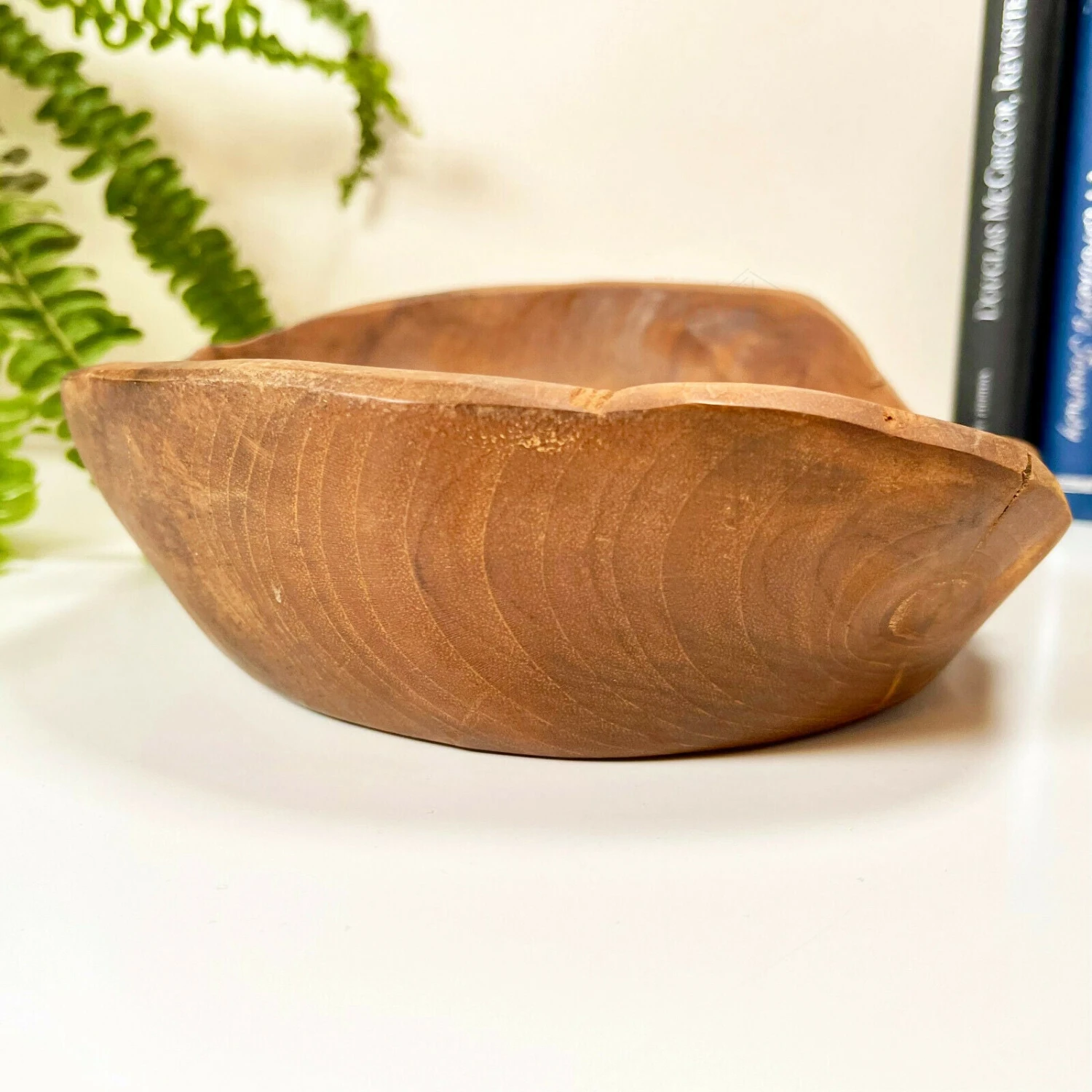 Darthome Limited Round Teak Root Wood Bowl 18cm 2 Darthome Limited Round Teak Root Wood Bowl 18cm - Image 2