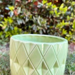 Darthome Limited Ceramic Green Geometric Planter 13cm -Darthome Limited 40 103bc3c5 8d1f 456e b96d 2c6ae0485772