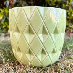 Darthome Limited Ceramic Green Geometric Planter 13cm -Darthome Limited 41 45f2c9cf f191 44d5 86c4 7d65303a0513