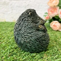 Darthome Limited Bronze Baby Hedgehog Figurine 11 Darthome Limited Bronze Baby Hedgehog Figurine -Darthome Limited 41 c79362a1 16c6 45a0 8ede 4d9beb531f3b