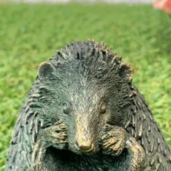 Darthome Limited Bronze Baby Hedgehog Figurine 13 Darthome Limited Bronze Baby Hedgehog Figurine -Darthome Limited 43