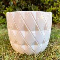 Darthome Limited Ceramic White Geometric Planter 13cm -Darthome Limited 45 3304fe3c 45cd 40b3 bb35 bbacd0d8fc41