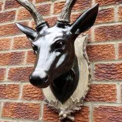 Darthome Limited Extra Large Glossy Black Stags Wall Head -Darthome Limited 4 8dcf230f 0b57 4433 80b3 04607ea91db9
