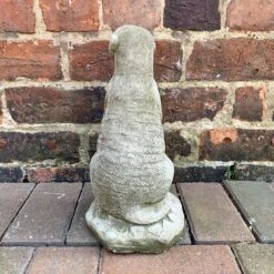 Darthome Limited Stone Meerkat Garden Sculpture 5kg -Darthome Limited 5 3fec8fb2 b471 4f36 aa0e faa6cdff3fb9