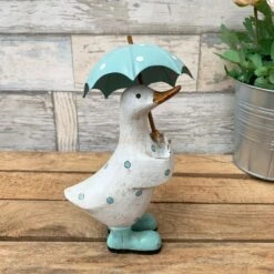 Darthome Limited Aqua Blue Polka Dot Duck With Umbrella -Darthome Limited 6 deb4a50e 9824 413b 9ffc c04fb3092eab