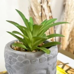Darthome Limited Cement Buddha Head Succulent -Darthome Limited 76 e7f8d35d 76d9 45be 8dc1 fa67787fa4ee