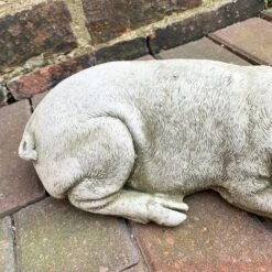 Darthome Limited Stone Sleeping Pig Garden Sculpture -Darthome Limited 8 c83c0381 037a 492b 89e3 b1967f8c65ec