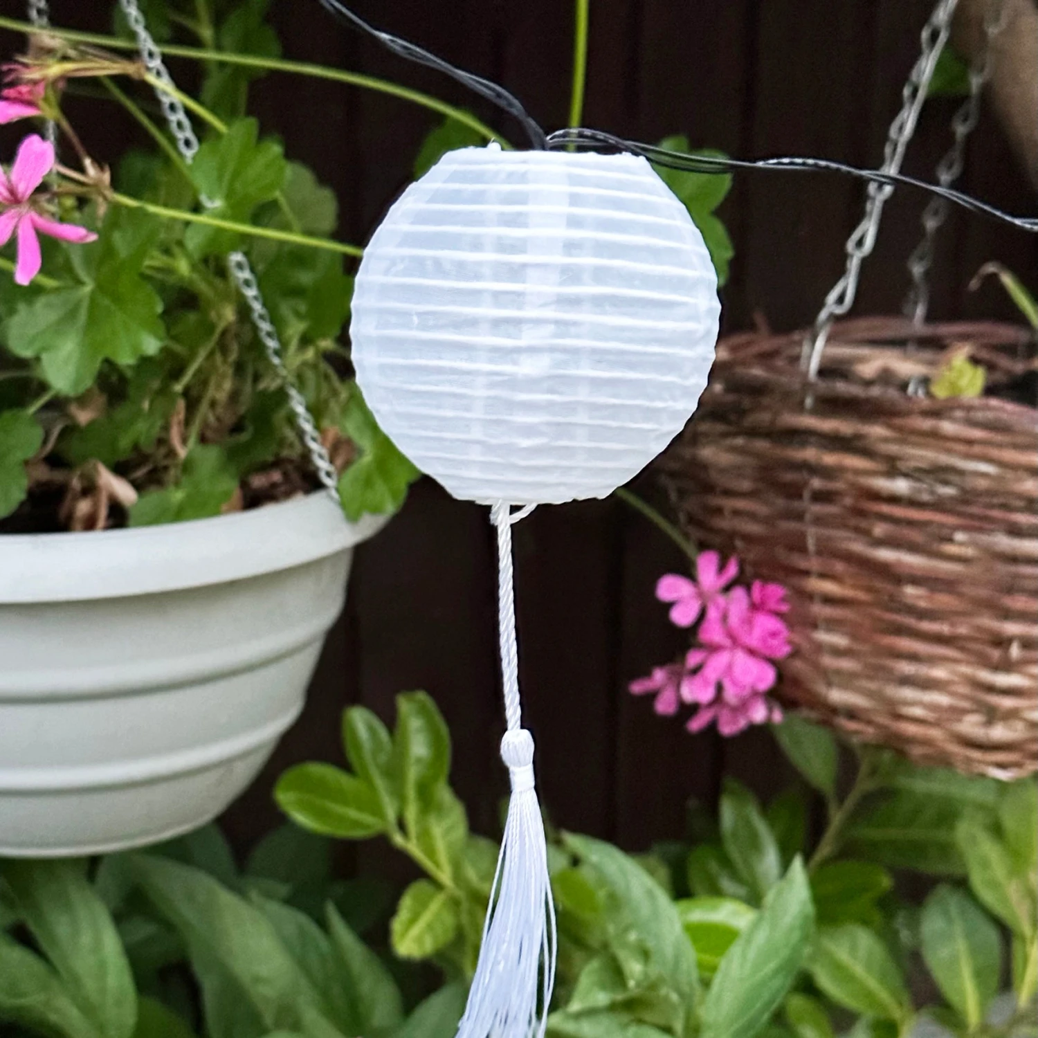 Darthome Limited 10 Chinese Lantern Outdoor Solar Lights 4 Darthome Limited 10 Chinese Lantern Outdoor Solar Lights - Image 4