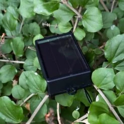 Darthome Limited 10 Chinese Lantern Outdoor Solar Lights 7 Darthome Limited 10 Chinese Lantern Outdoor Solar Lights -Darthome Limited IMG 0036 JPEG