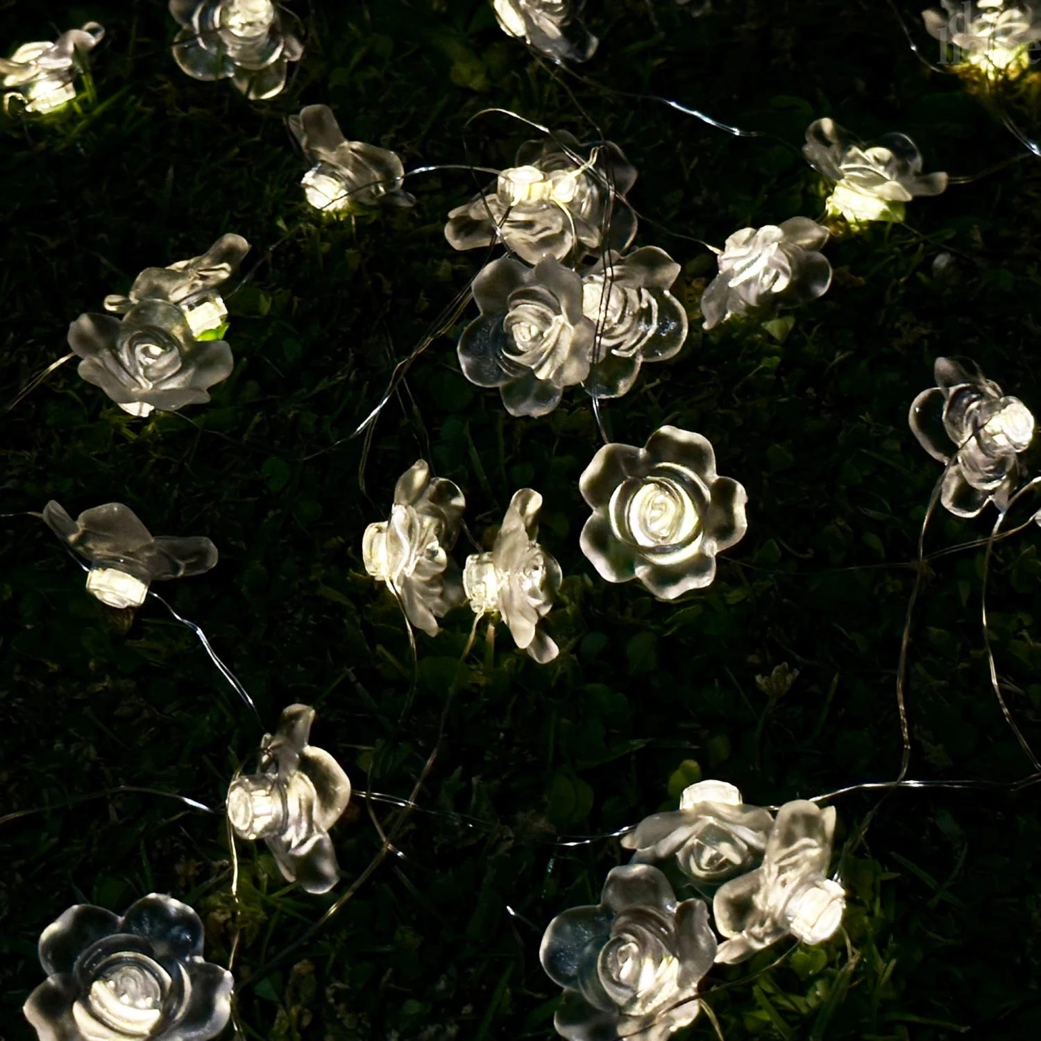 Darthome Limited 50 Solar Rose Flower Outdoor String Lights 1 Darthome Limited 50 Solar Rose Flower Outdoor String Lights
