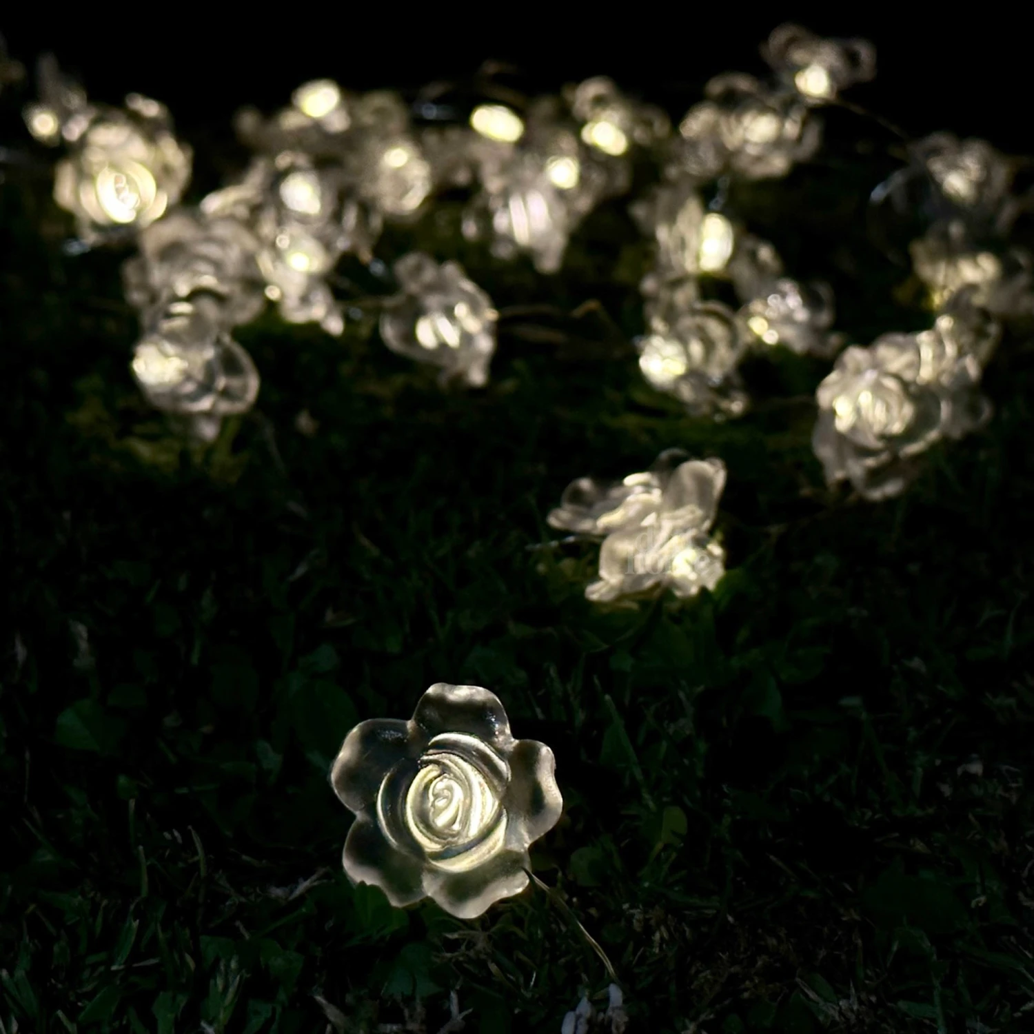 Darthome Limited 50 Solar Rose Flower Outdoor String Lights 3 Darthome Limited 50 Solar Rose Flower Outdoor String Lights - Image 3