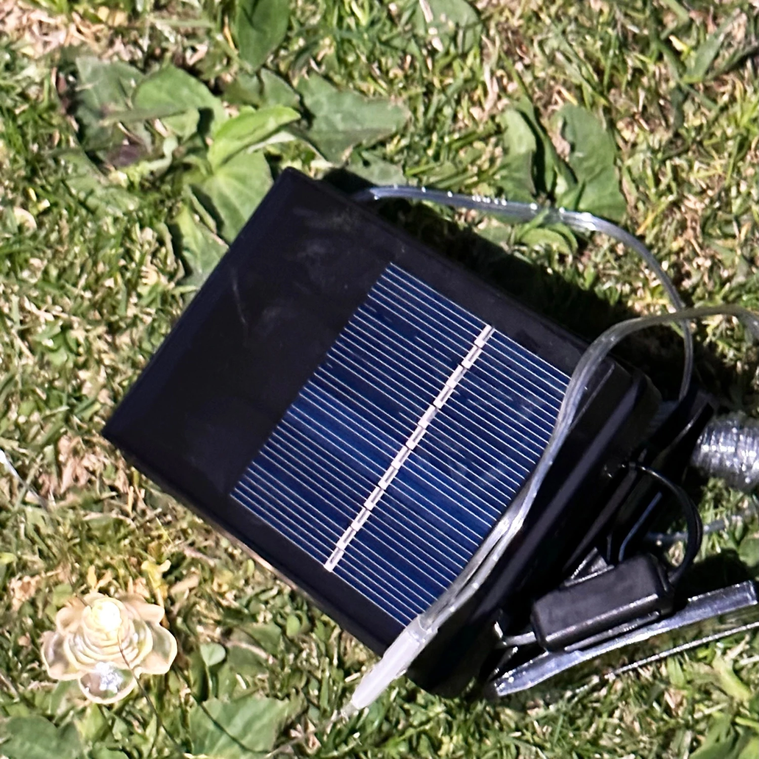 Darthome Limited 50 Solar Rose Flower Outdoor String Lights 4 Darthome Limited 50 Solar Rose Flower Outdoor String Lights - Image 4