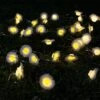 Darthome Limited 50 Solar Daisy Flower Outdoor String Lights