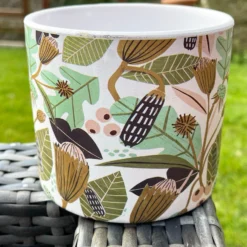 Darthome Limited Ceramic Leaf Foliage Plant Pot Holder 10cm -Darthome Limited IMG 3002.JPEG edited285