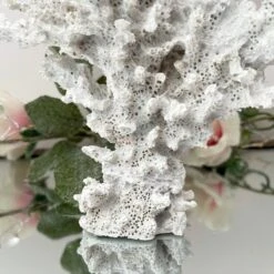 Darthome Limited White Faux Lace Coral Sculpture 18cm -Darthome Limited IMG 5302.JPEG edited153