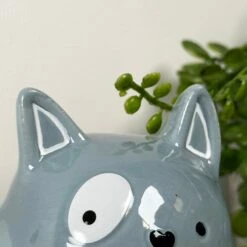 Darthome Limited Ceramic Blue Cat Money Box 12 Darthome Limited Ceramic Blue Cat Money Box -Darthome Limited IMG 5623 JPEG