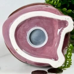 Darthome Limited Ceramic Owl Money Box -Darthome Limited IMG 5649 JPEG