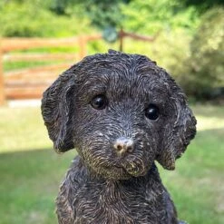 Darthome Limited Gold Cockapoo Dog Figure 9 Darthome Limited Gold Cockapoo Dog Figure -Darthome Limited IMG 6778.JPEG edited65