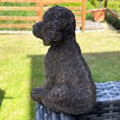 Darthome Limited Gold Cockapoo Dog Figure 12 Darthome Limited Gold Cockapoo Dog Figure -Darthome Limited IMG 6781.JPEG edited68