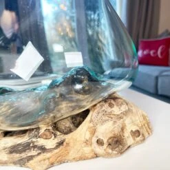 Darthome Limited Large Molten Glass Bowl On Teak Root Stand 18 Darthome Limited Large Molten Glass Bowl On Teak Root Stand -Darthome Limited IMG 7355 JPEG