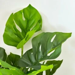 Darthome Limited Artificial Monstera Swiss Cheese Plant -Darthome Limited IMG 8994 JPEG