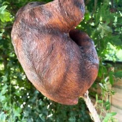 Darthome Limited Hanging Sloth Garden Ornament 60cm 8 Darthome Limited Hanging Sloth Garden Ornament 60cm -Darthome Limited IMG E0010 editedG