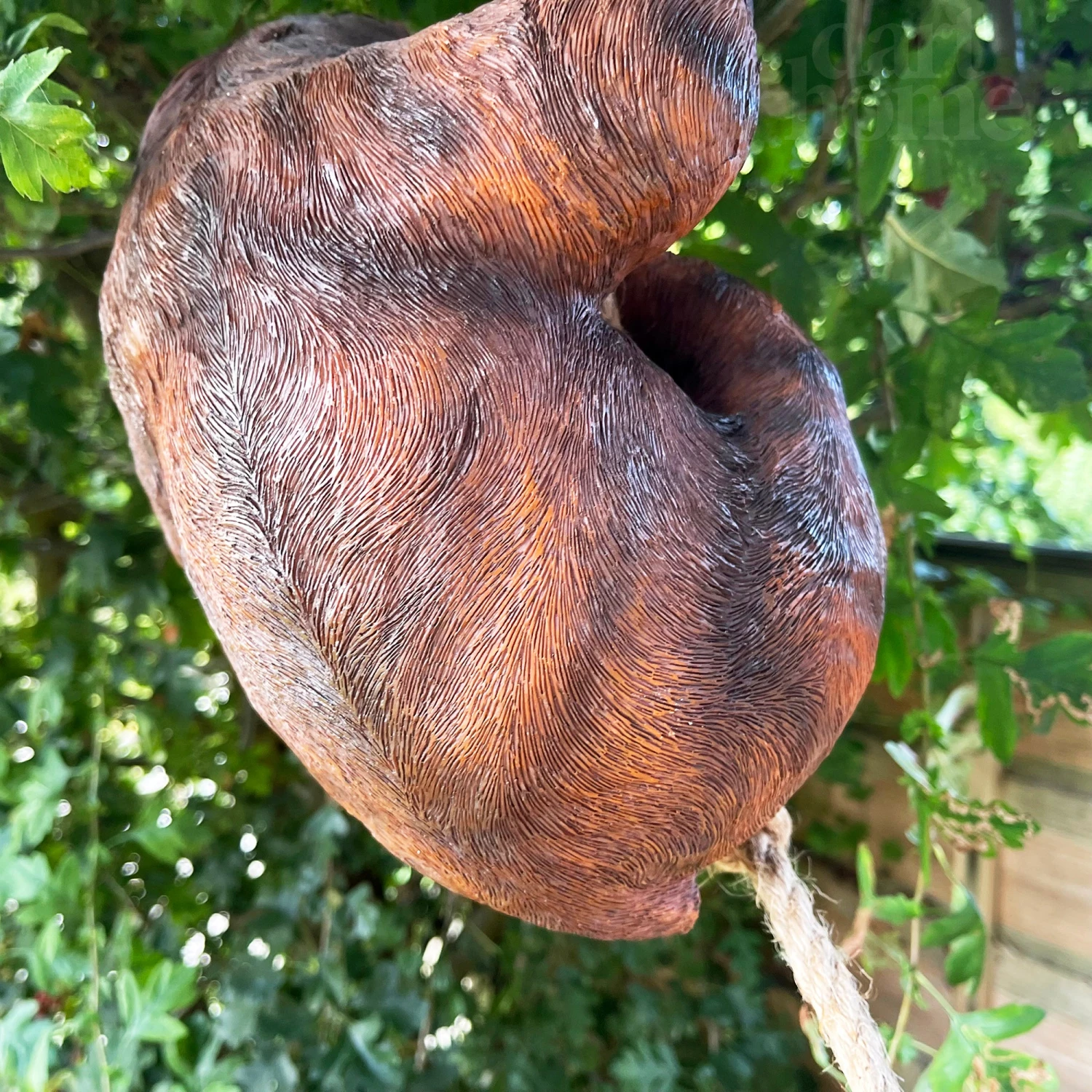 Darthome Limited Hanging Sloth Garden Ornament 60cm 3 Darthome Limited Hanging Sloth Garden Ornament 60cm - Image 3