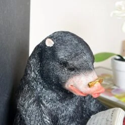 Darthome Limited Black Reading Mole Bookends -Darthome Limited IMG E0139 editedZ