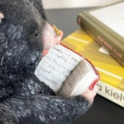 Darthome Limited Black Reading Mole Bookends -Darthome Limited IMG E0140 editedAA