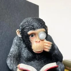 Darthome Limited Black Reading Monkey Bookends -Darthome Limited IMG E0148 editedAI