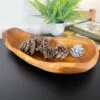 Darthome Limited Teak Root Long Bowl 45cm