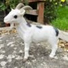 Darthome Limited White Goat Garden Ornament 20cm