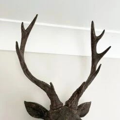 Darthome Limited Faux Brown Stags Head Wall Bust 47cm 7 Darthome Limited Faux Brown Stags Head Wall Bust 47cm -Darthome Limited IMG E0800