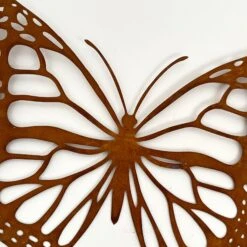Darthome Limited Rusted Metal Butterfly Sihouette Garden Wall Art 5 Darthome Limited Rusted Metal Butterfly Sihouette Garden Wall Art -Darthome Limited IMG E0913 edited118