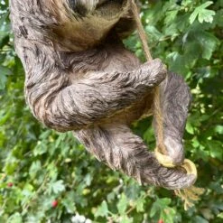 Darthome Limited Resin Hanging Sloth Garden Ornament -Darthome Limited IMG E1069