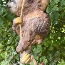 Darthome Limited Resin Hanging Sloth Garden Ornament -Darthome Limited IMG E1070