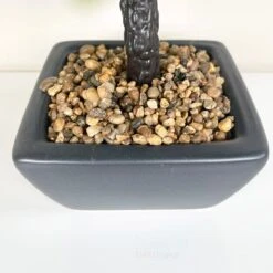 Darthome Limited Artificial Ficus Bonsai Tree Plant In Black Pot 37cm 7 Darthome Limited Artificial Ficus Bonsai Tree Plant In Black Pot 37cm -Darthome Limited IMG E1144 edited33