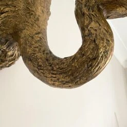 Darthome Limited Gold Ostrich Wall Decoration 8 Darthome Limited Gold Ostrich Wall Decoration -Darthome Limited IMG E1345