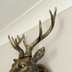 Darthome Limited Antique Gold Stag Wall Head Large 10 Darthome Limited Antique Gold Stag Wall Head Large -Darthome Limited IMG E1354