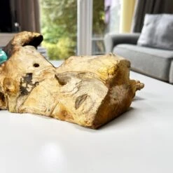 Darthome Limited Molten Glass Double Candle Holder On Teak Root Stand 15 Darthome Limited Molten Glass Double Candle Holder On Teak Root Stand -Darthome Limited IMG E1430