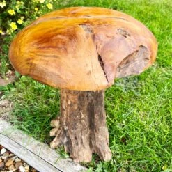 Darthome Limited Tall Teak Root Mushroom Sculpture 42cm -Darthome Limited IMG E1593