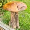 Darthome Limited Tall Teak Root Mushroom Sculpture 42cm